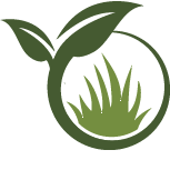 Oak Tree Planting Pros