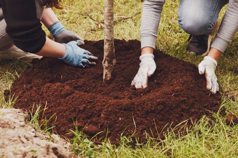 Contact About Oak Tree Planting