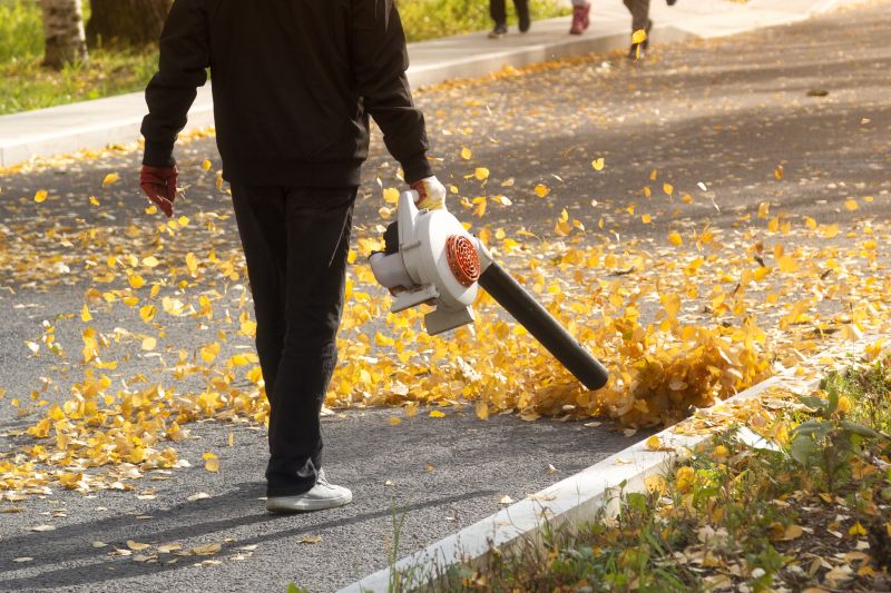Leaf Blowing Efficiency